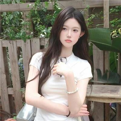 送赞雪橇犬